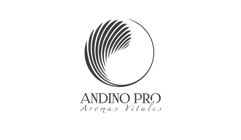 ANDINO